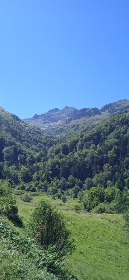 Studio Le Mont Beas Олюс-ле-Бан Екстериор снимка